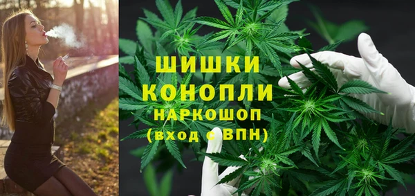 PSILOCYBIN Балабаново