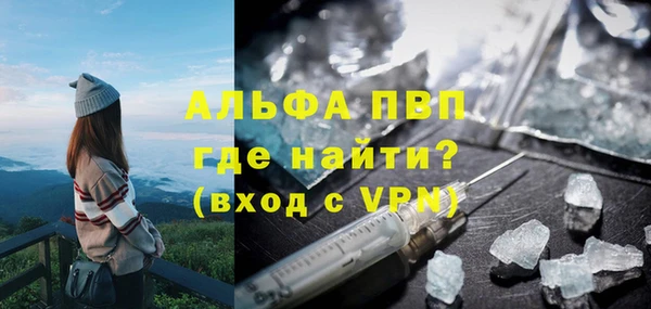 PSILOCYBIN Балабаново