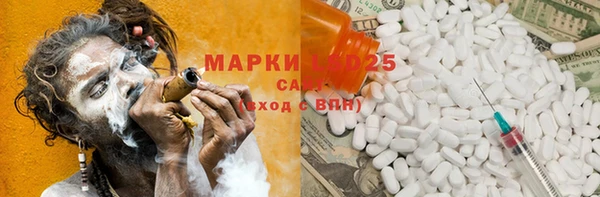PSILOCYBIN Балабаново