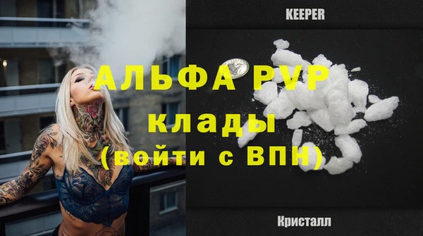 сатива Аркадак