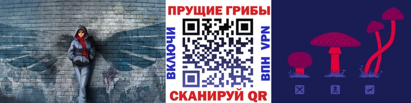 Псилоцибиновые грибы ЛСД  наркота  Гаврилов Посад 